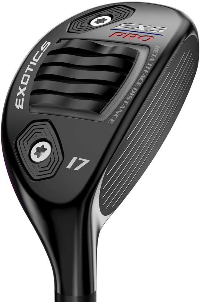 バシャーモVMAX(SA)【HR】 PSA9 バシャーモVMAX HR SA 086/070